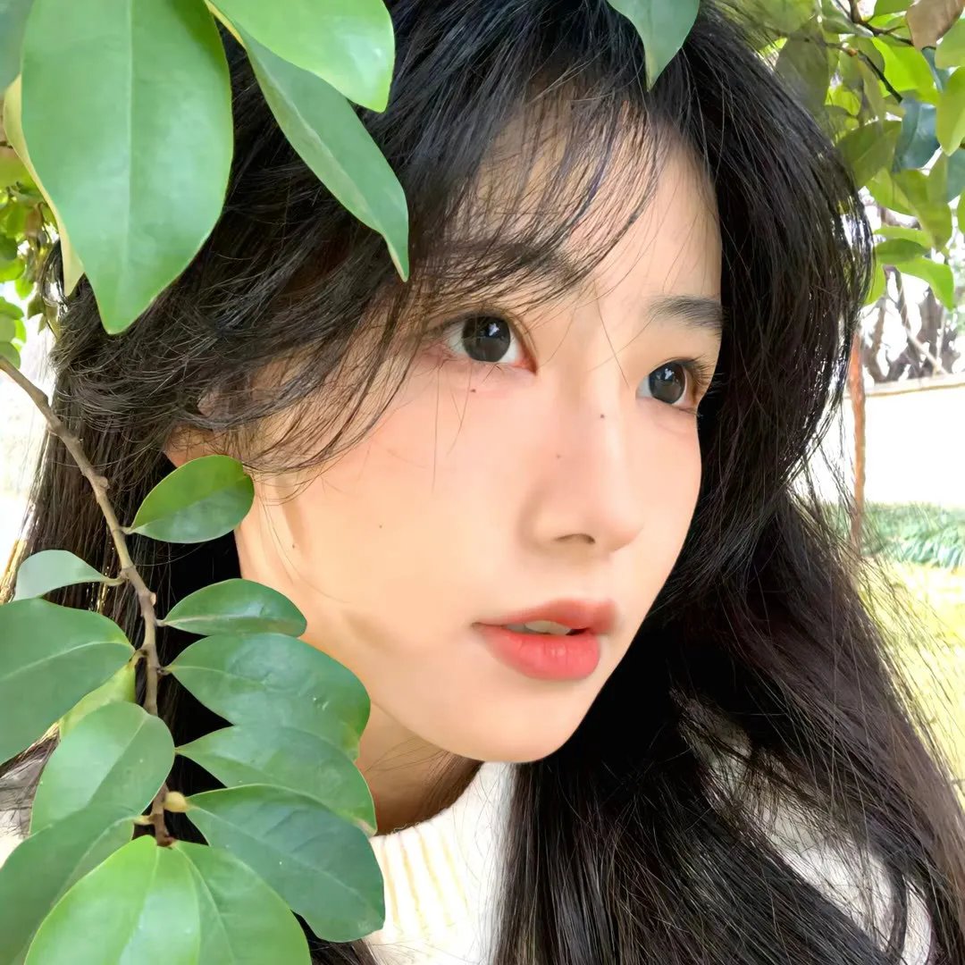 至上之法